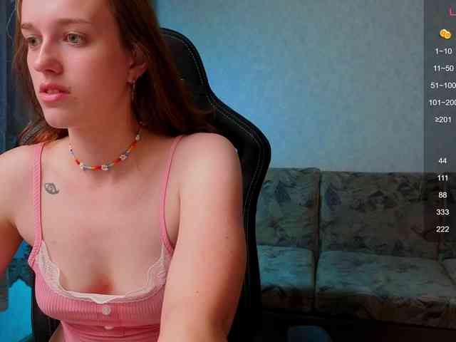 evallusion webcam