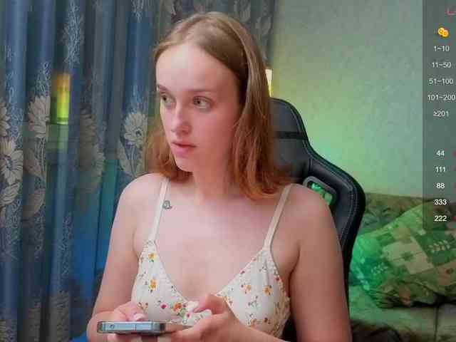 evallusion webcam