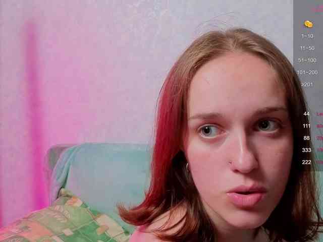 evallusion webcam