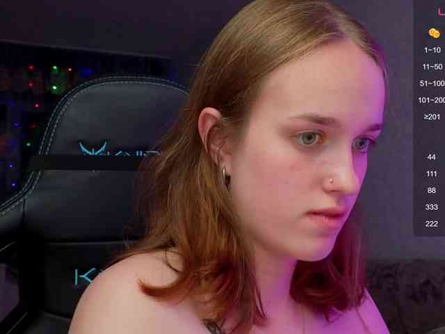 evallusion webcam