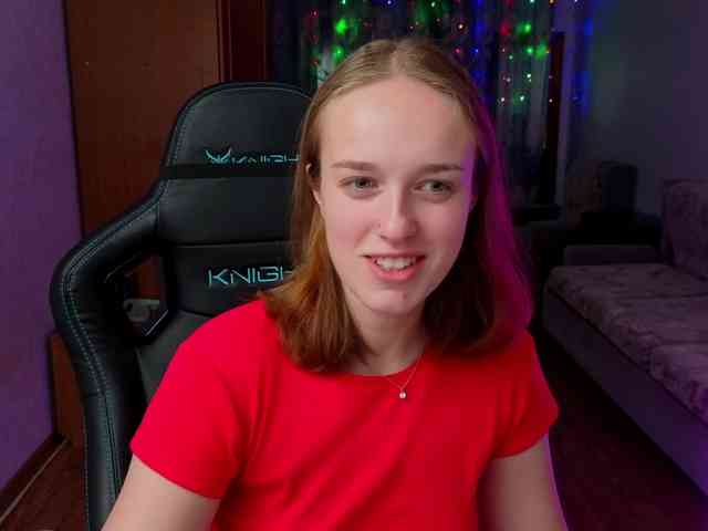 evallusion webcam