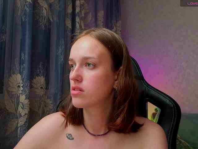 evallusion webcam
