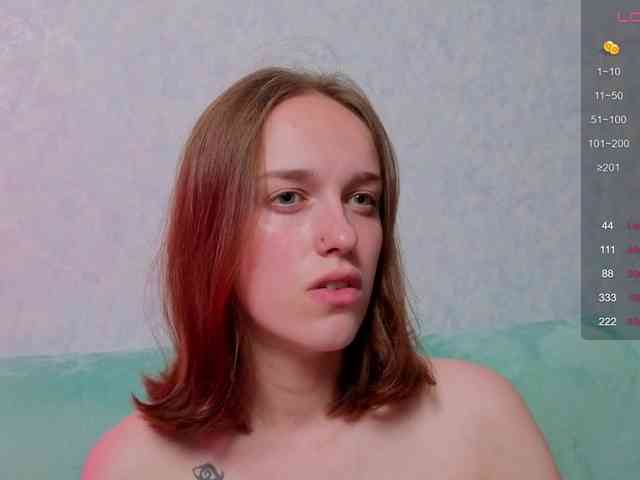 evallusion webcam