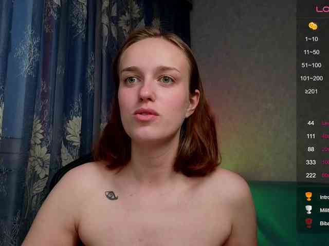 evallusion webcam