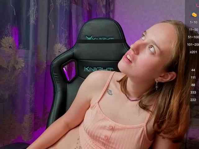 evallusion webcam