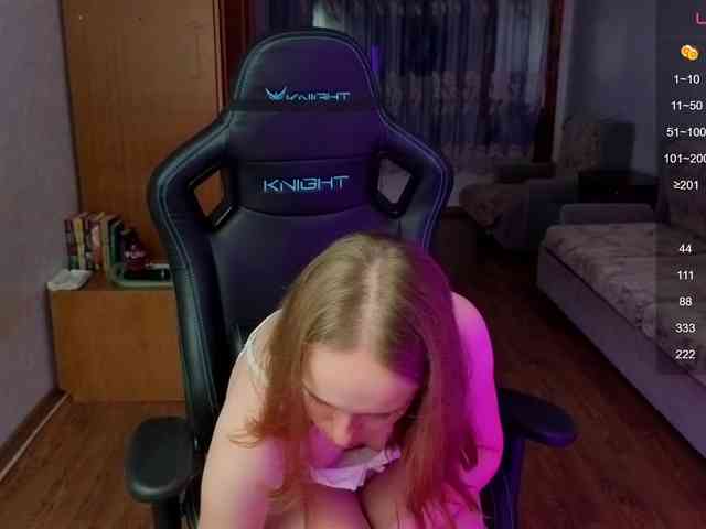 evallusion webcam