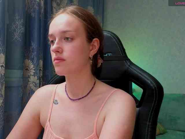 evallusion webcam