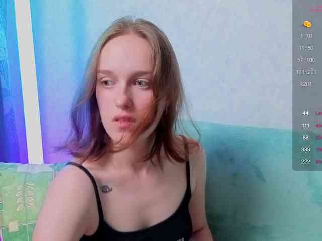 evallusion webcam