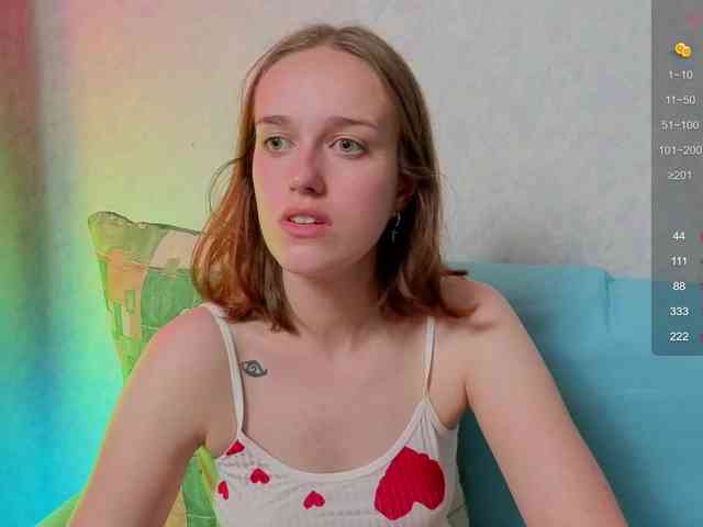 evallusion webcam