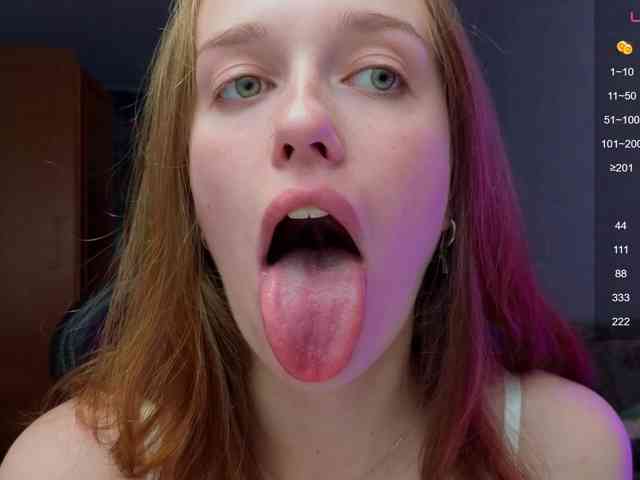 evallusion webcam