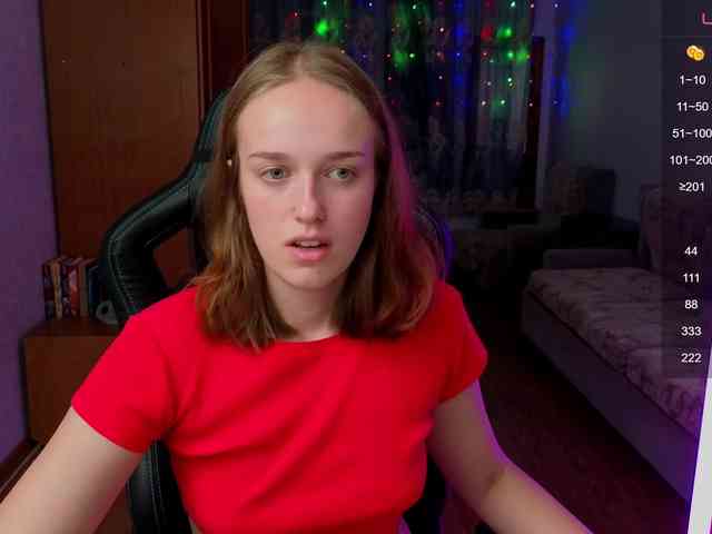 evallusion webcam