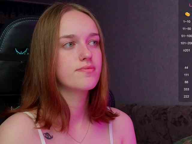 evallusion webcam