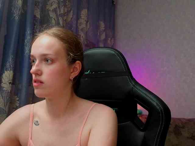 evallusion webcam