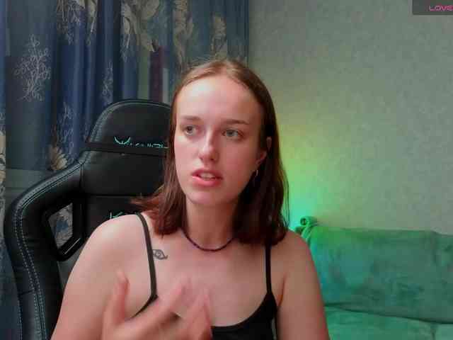 evallusion webcam