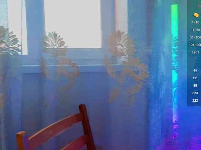 evallusion webcam
