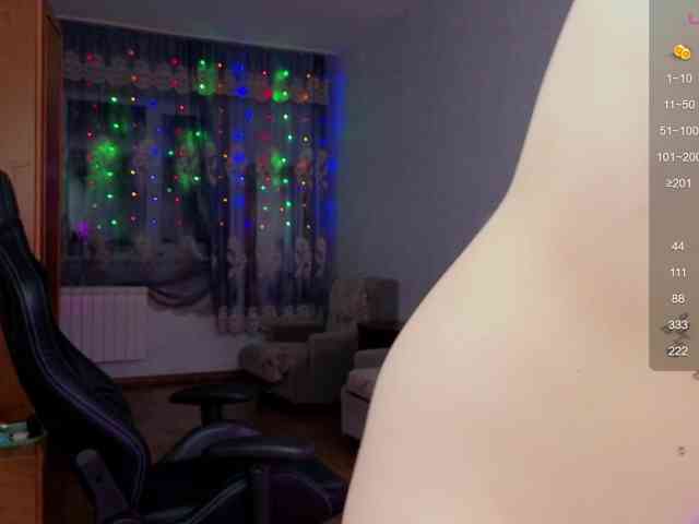 evallusion webcam