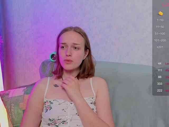 evallusion webcam
