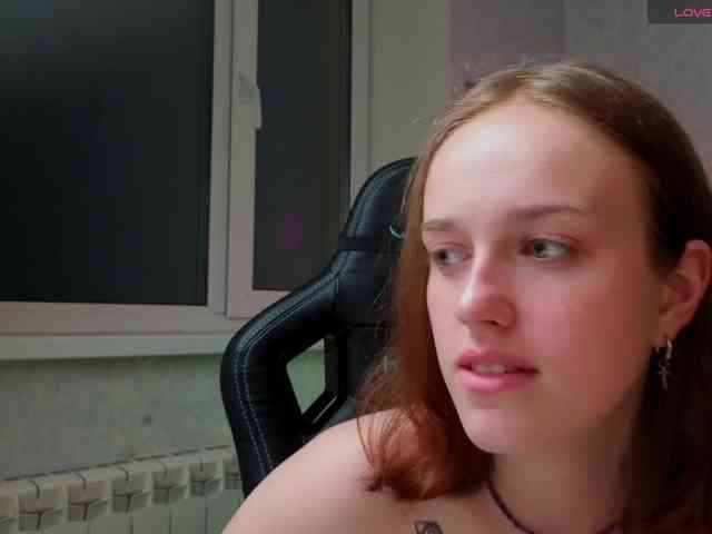 evallusion webcam