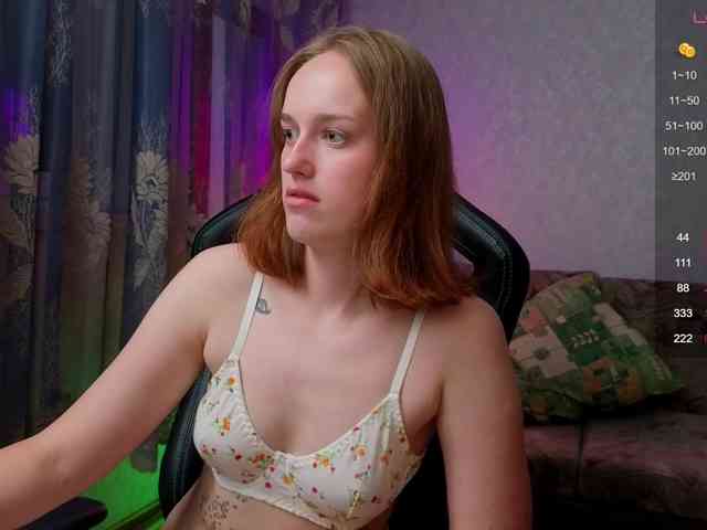 evallusion webcam
