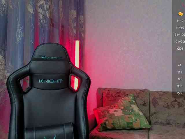 evallusion webcam