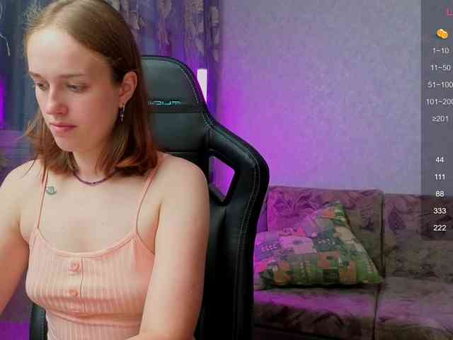 evallusion webcam