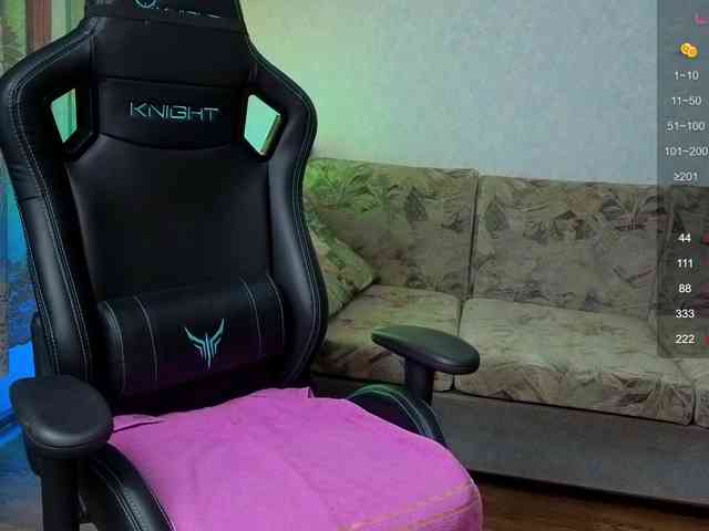 evallusion webcam