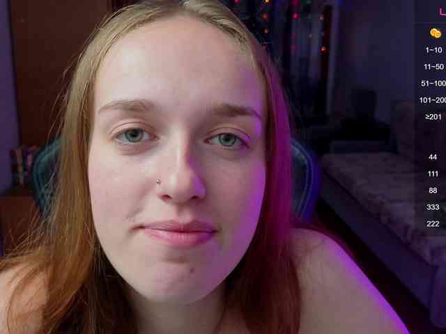 evallusion webcam