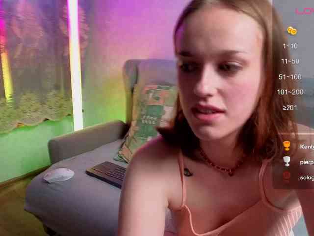evallusion webcam