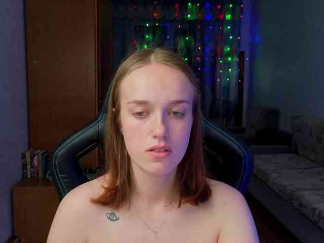 evallusion webcam