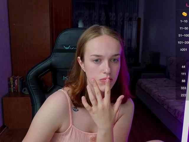evallusion webcam