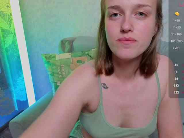 evallusion webcam