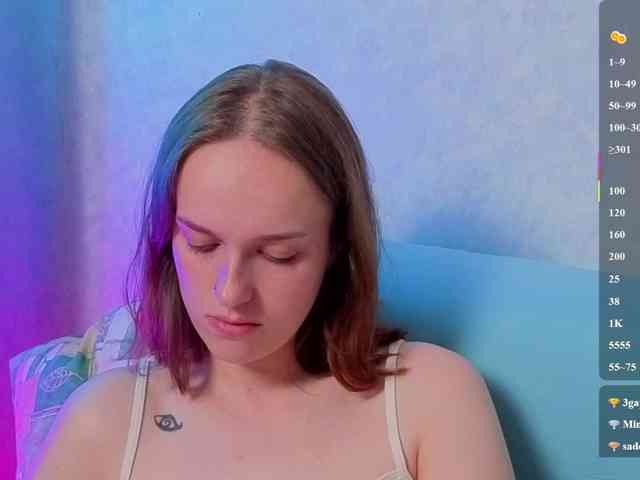 evallusion webcam