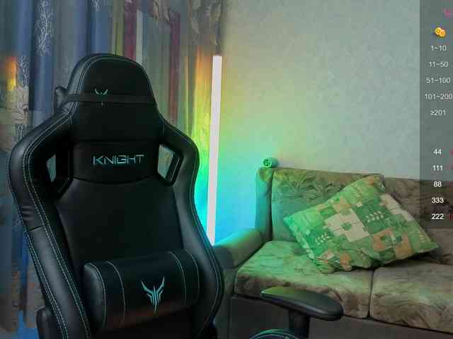 evallusion webcam