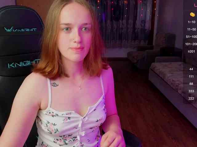 evallusion webcam