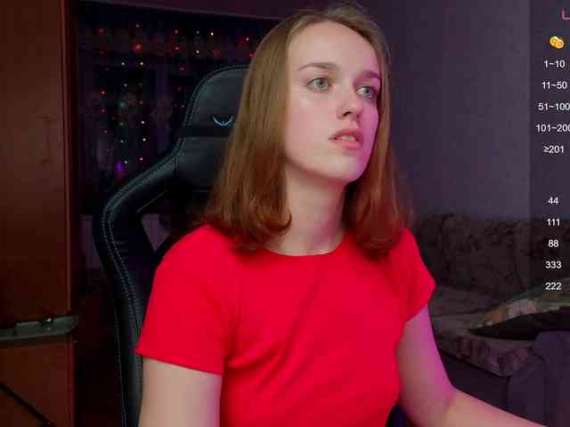 evallusion webcam