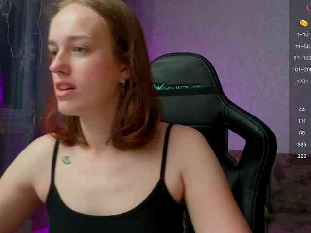 evallusion webcam