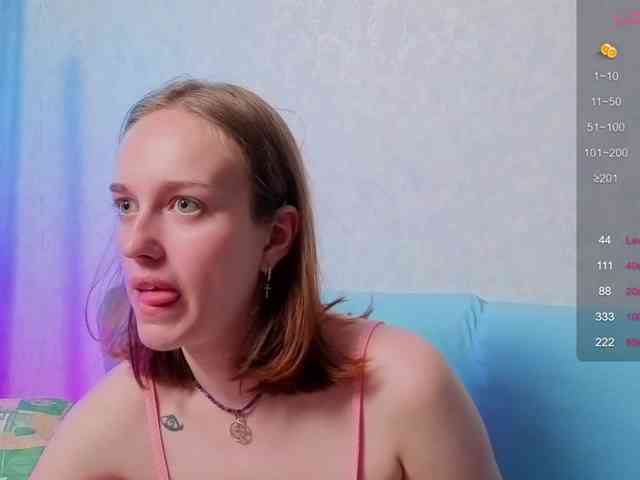 evallusion webcam