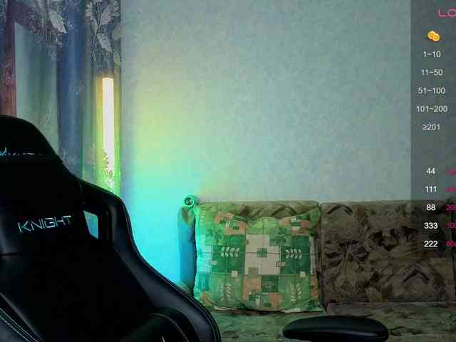 evallusion webcam