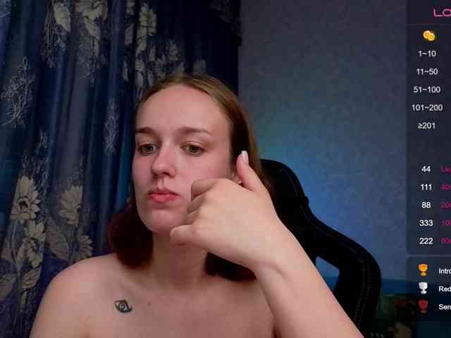 evallusion webcam