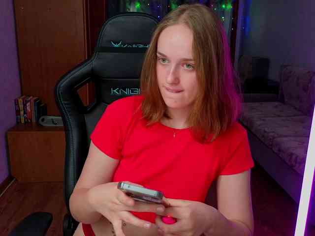 evallusion webcam