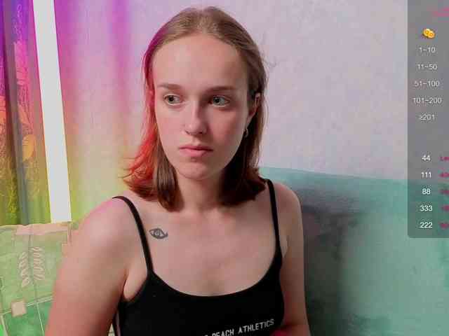 evallusion webcam