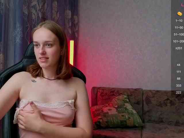 evallusion webcam