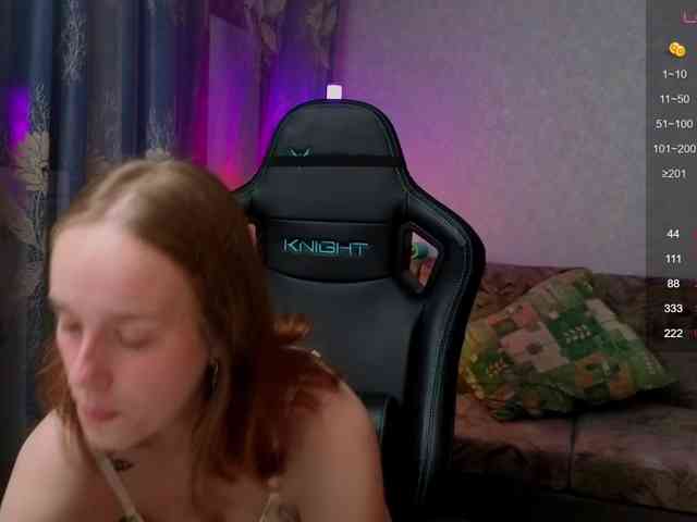 evallusion webcam
