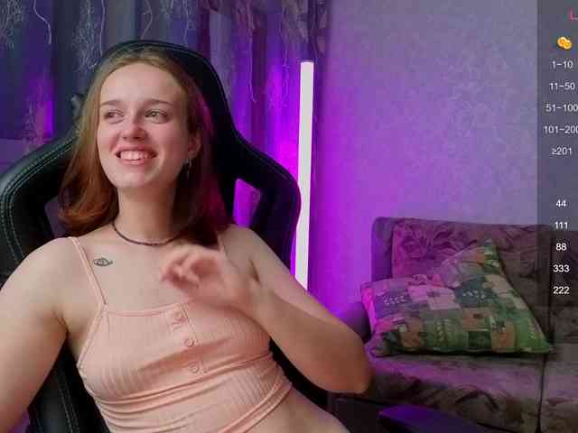 evallusion webcam