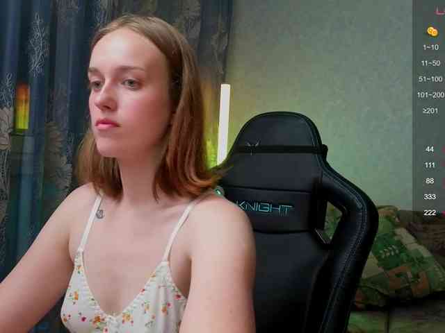 evallusion webcam