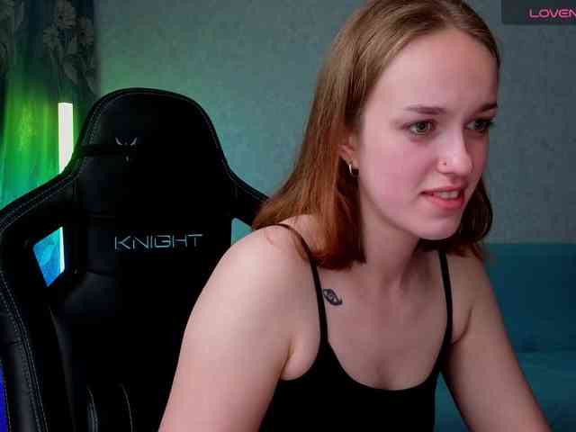 evallusion webcam
