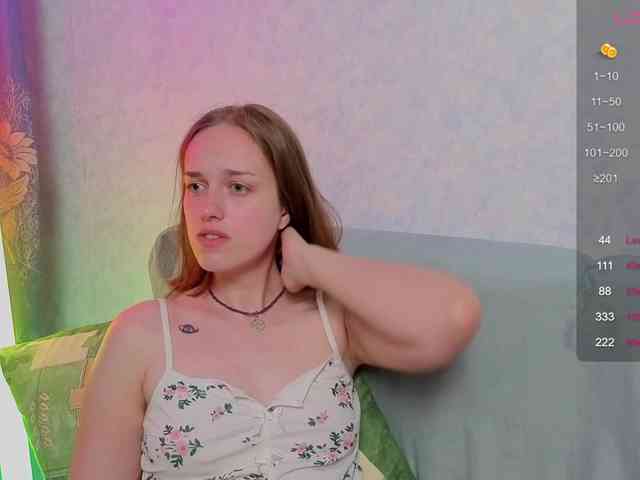 evallusion webcam