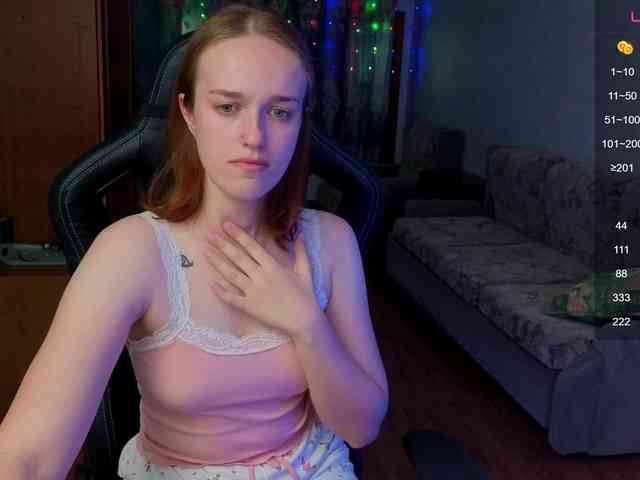 evallusion webcam