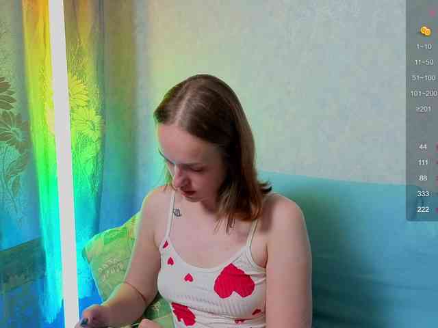 evallusion webcam