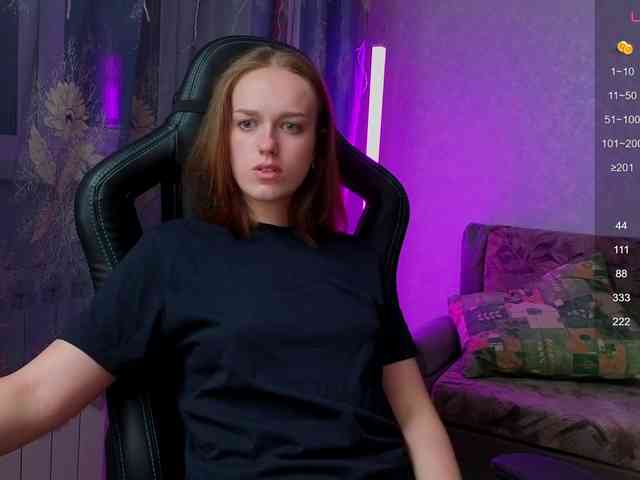 evallusion webcam